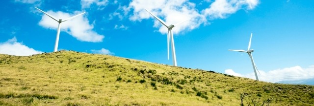 Wind farm